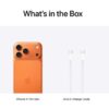 iPhone 17 Pro Max 256 GB 5G (eSim only) With FaceTime - International Version